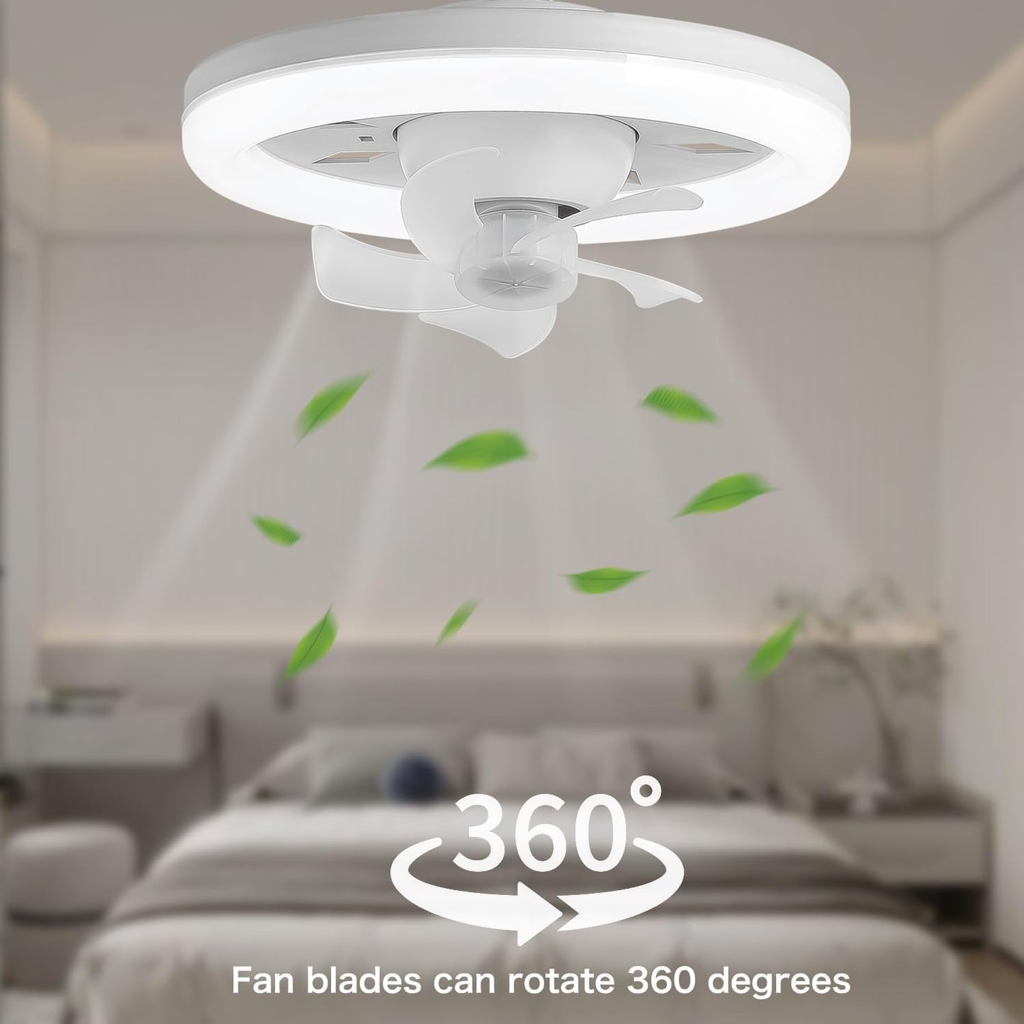 Led Multi Function Fan Light